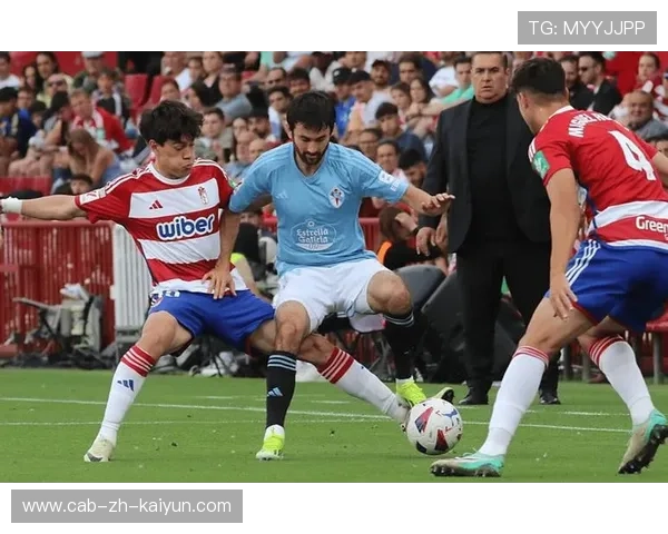 西甲关键场面，专家解析战术要点，vll西甲